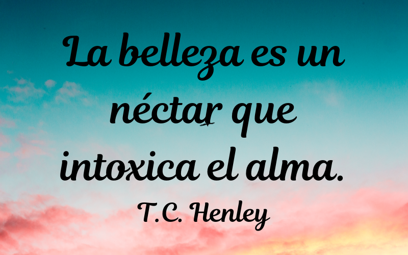 frases de belleza — T.C. Henley