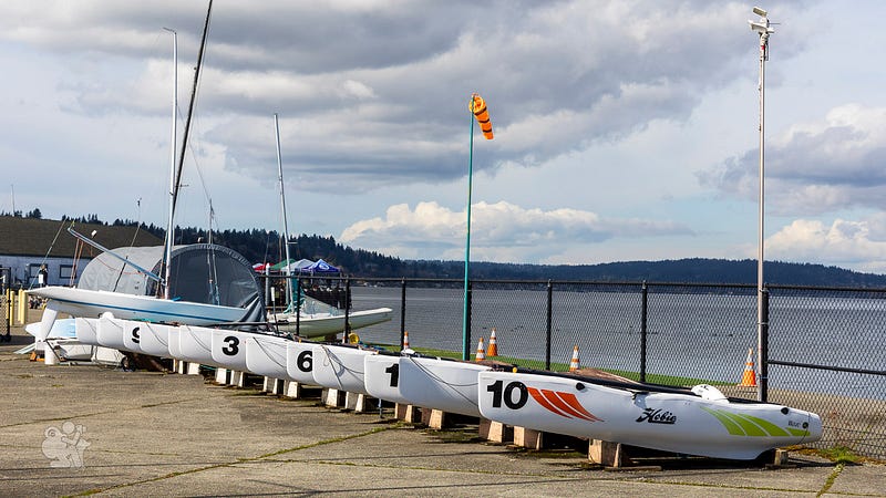 A group of small catamarans lined up along a fence in the storage yard A group of small catamarans lined up along a fence in the storage yard