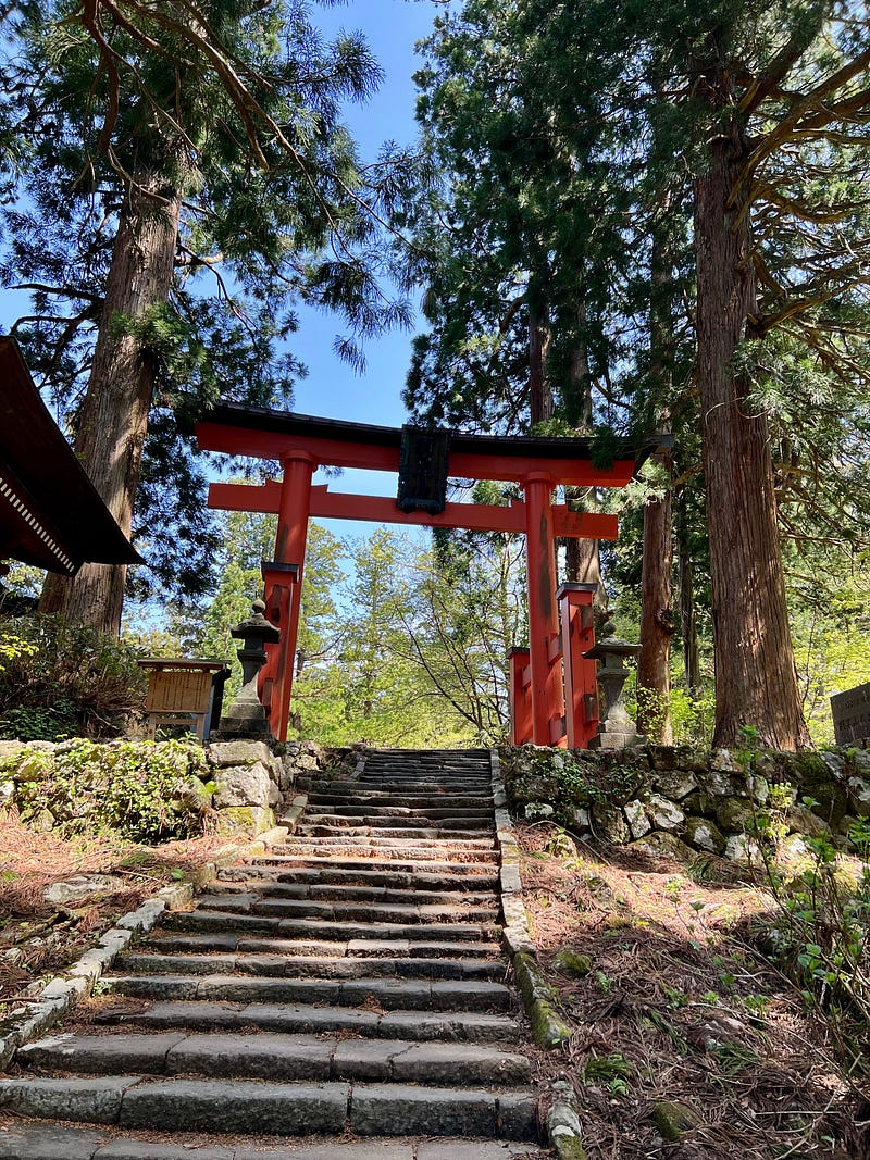 Torii gate at the top of the stairs to Mount Haguro.