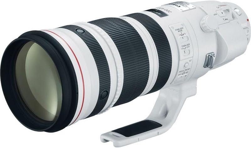Canon EF 200–400mm f/4L IS USM Extender 1.4x