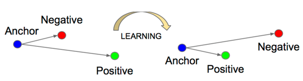 Triplet loss Learning