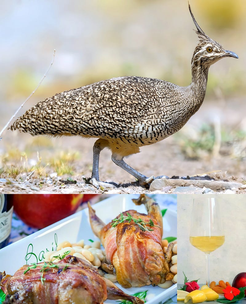 The Secret Symphony of the Pampas: Crested Tinamou (Eudromia elegans)