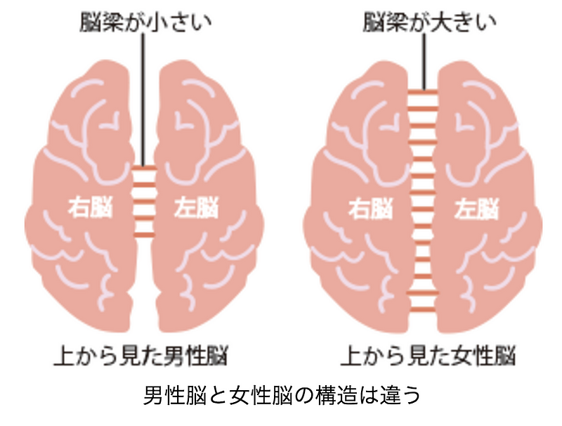 【男女脳】の違い。なぜここまですれ違うのか。 Sales Technology Lab