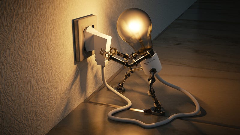 light bulb.