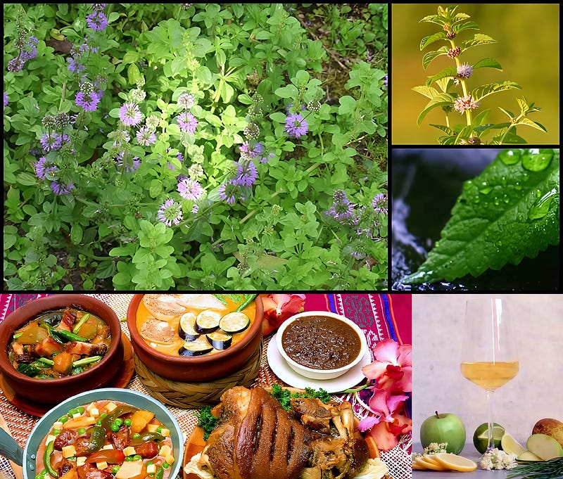 The Fragrant Secret of Yerba Buena: Nature’s Healing Mint