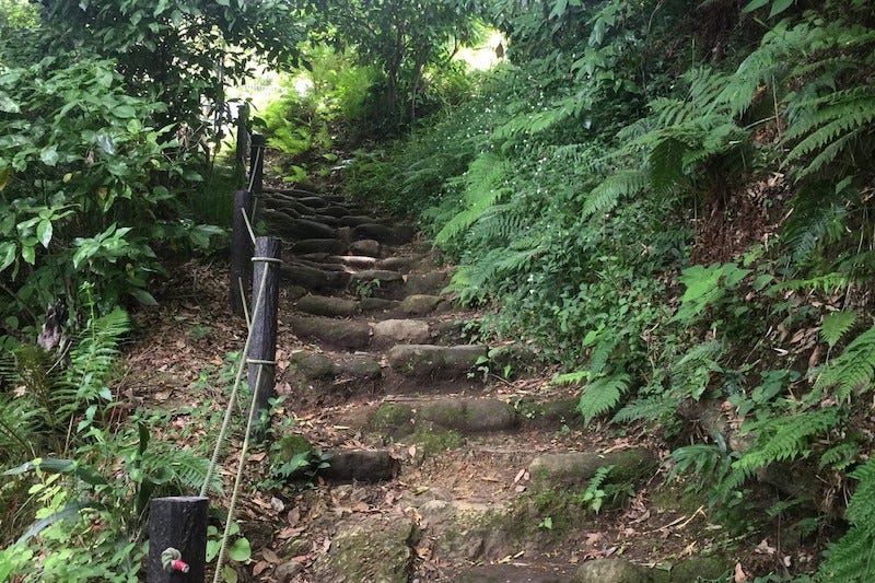 The stairs that lead up to the Mandarado Yagura tombs in Kamakura