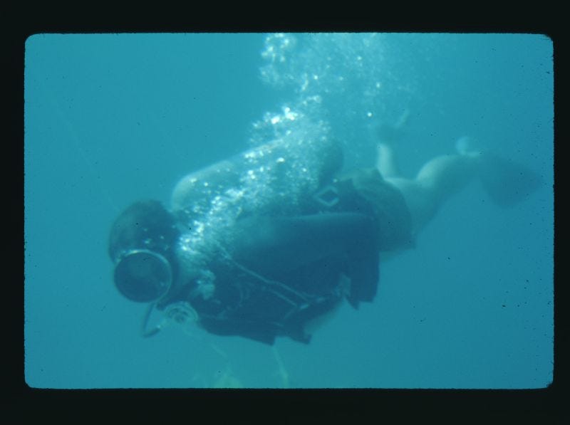 A person scuba diving