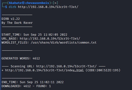 DIRB scan of the secret directory.