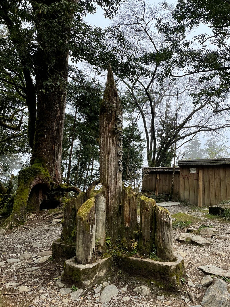 台灣檜木與馬告神木園