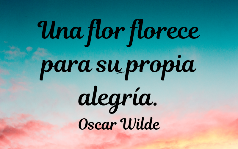 frases de belleza — Oscar Wilde