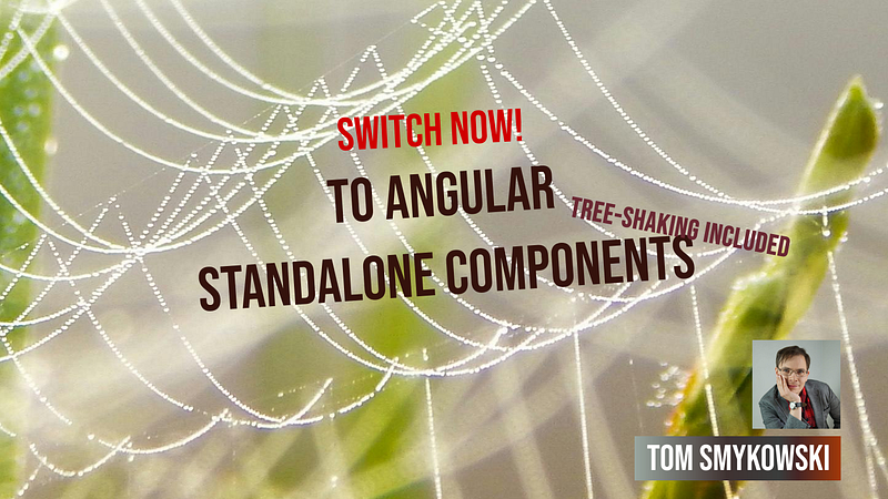 Switch Now To Angular Standalone Components