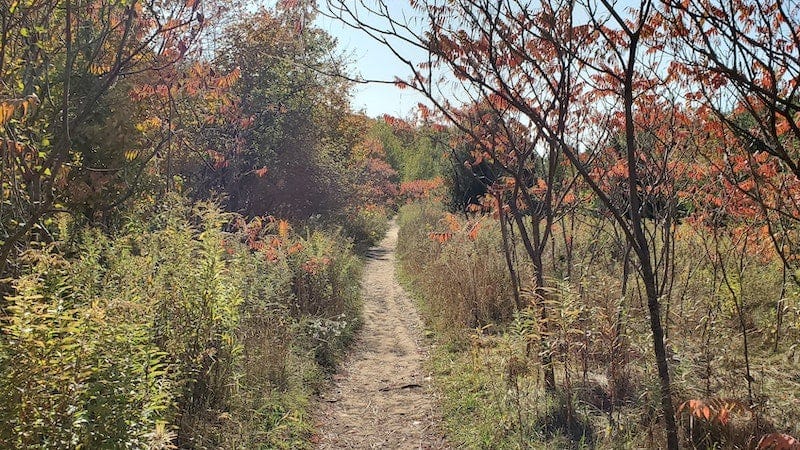 Mount Nemo Trail