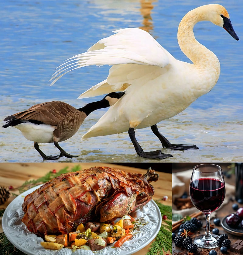 Guardians of the Wetlands: The Trumpeter Swan’s Journey from Near-Extinction to Culinary Memory