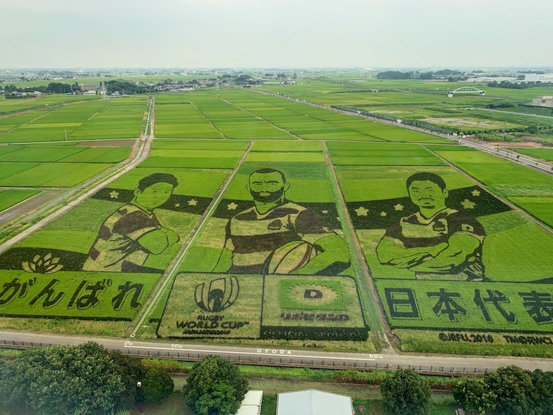 Gyoda’s rice field artwork in northern Saitama Prefecture