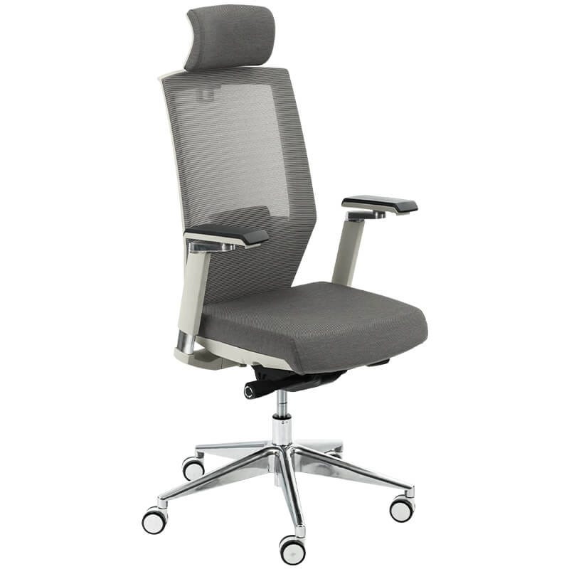 Flexispot Ergonomic Office Chair OC13