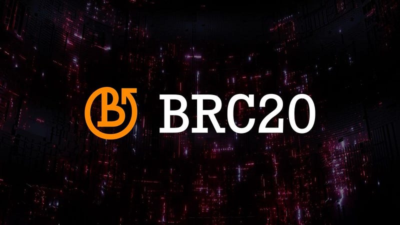 BRC20 Token Development: A Step-by-Step Guide for Bitcoin Enthusiasts in 2024