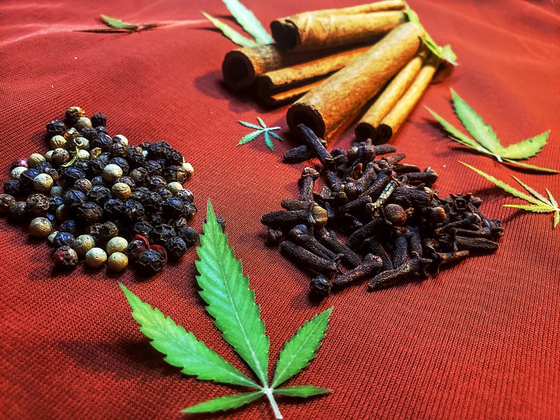 5 Things I’ve Learned About Terpenes in 2021