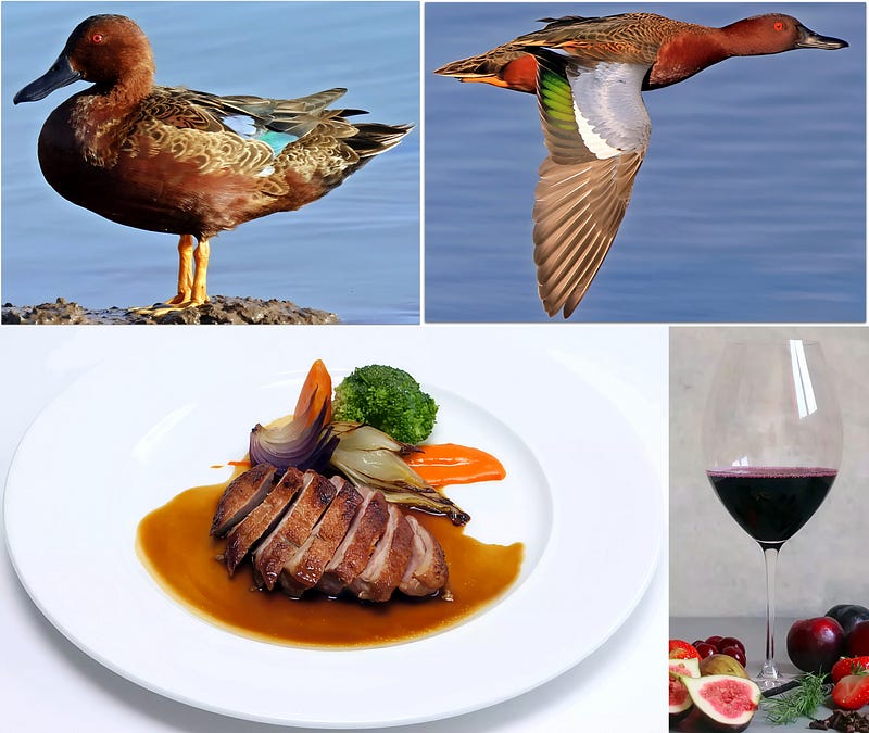 Crimson on the Wing: The Story of the Cinnamon Teal
