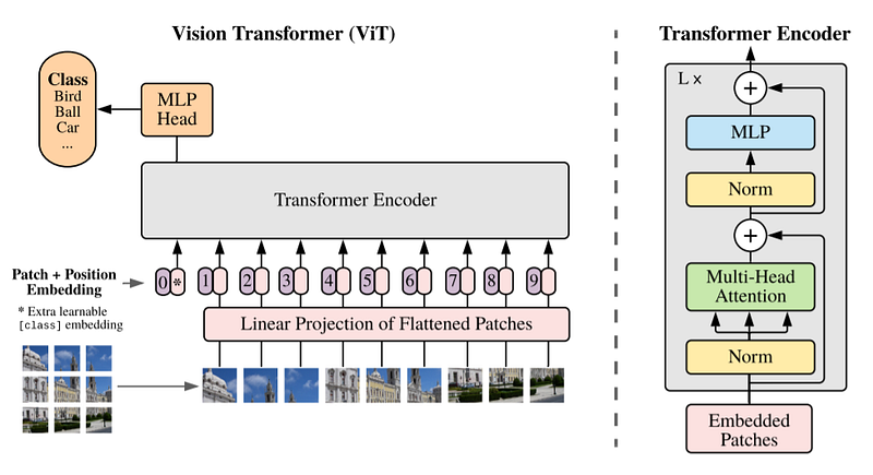 ViT Overview