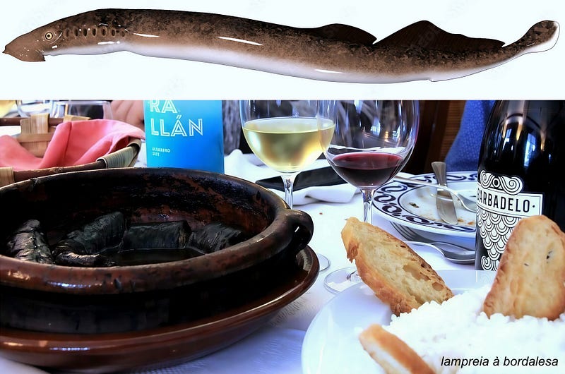 Blood and Brine: The Enigmatic Legacy of the Sea Lamprey