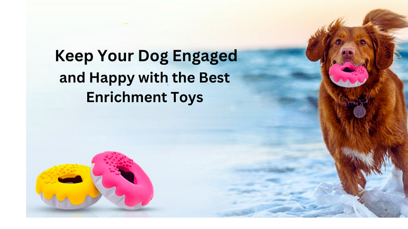 Keep Your Dog Engaged and Happy with the Best Enrichment Toys