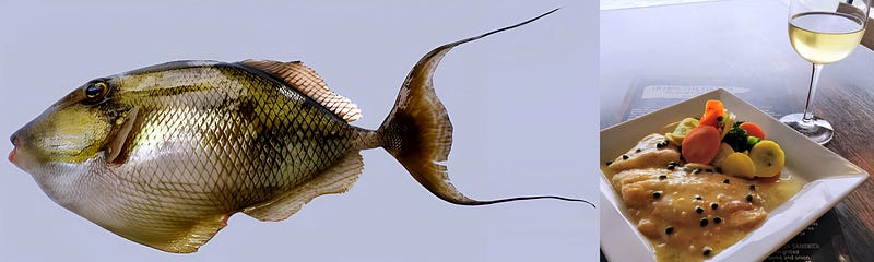 Silk Swords in Deep Water: The Hairfin Triggerfish’s Quiet Drama