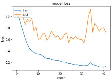 Model loss trends