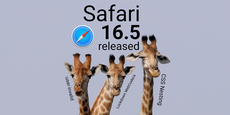 🧭 Safari 16.5 Is Not Only About CSS Nesting