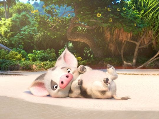 why-the-pig-in-moana-stayed-behind-9-conspiracy-theories