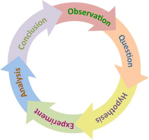 Scientific methodology for AI
