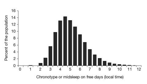 Understanding your chronotype for trading