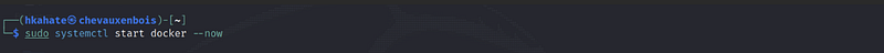Command for starting Docker