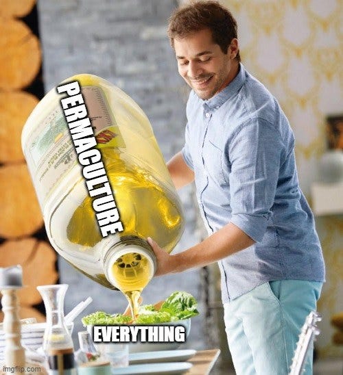 1*mifLkHqHzBhhYngaLqmdLg