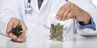 Medical marijuana doctor Bonita springs