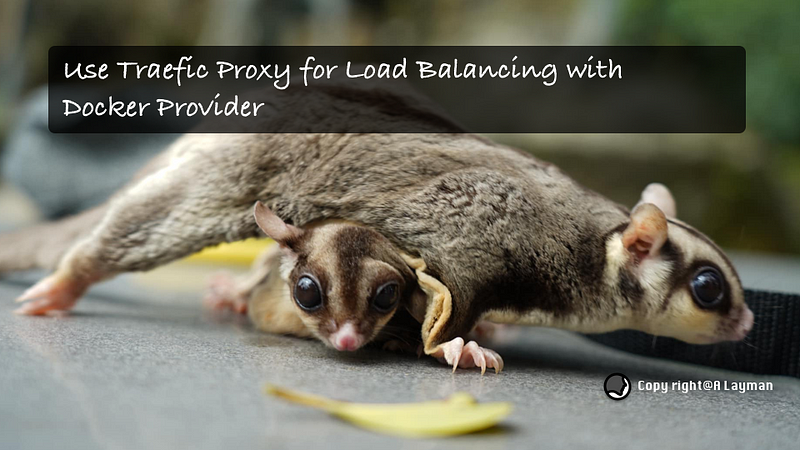 Use Traefic Proxy for Load Balancing with Docker Provider Use Traefic Proxy for Load Balancing with Docker Provider