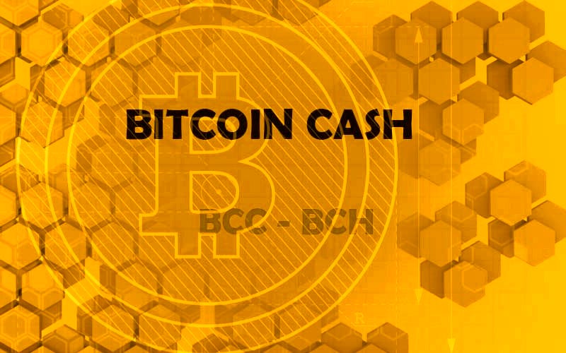 Bitcoin cash 8 mb