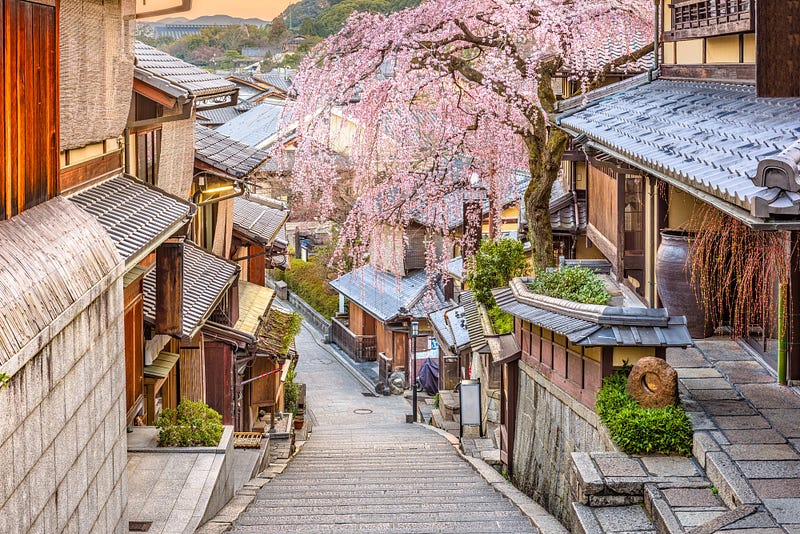 Classic Japan scene — Cherry tree in bloom overhanging a narrow walkway sided by old wooden buildings.