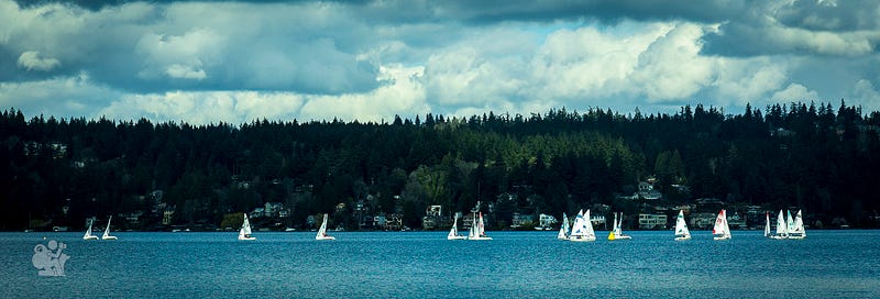 Sailing dingies racing across Lake Washington Sailing dingies racing across Lake Washington