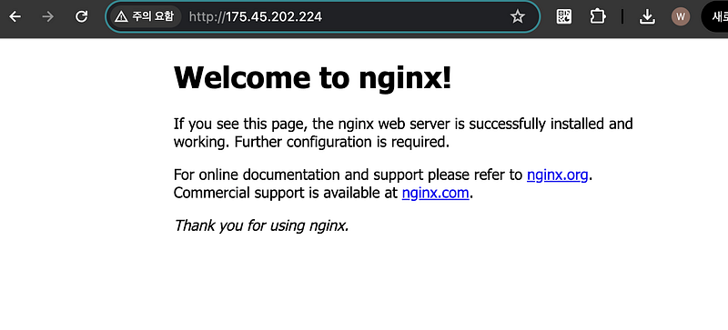 Nginx 접속 결과