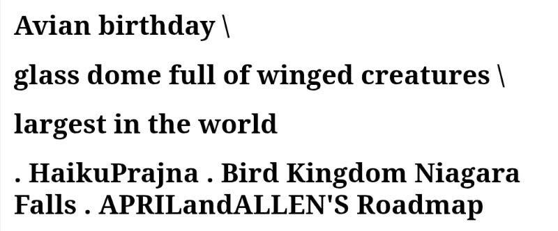 Avian birthday \ glass dome full of winged creatures \ largest in the world . HaikuPrajna . Bird Kingdom Niagara Falls . APRILandALLEN’S Roadmap.