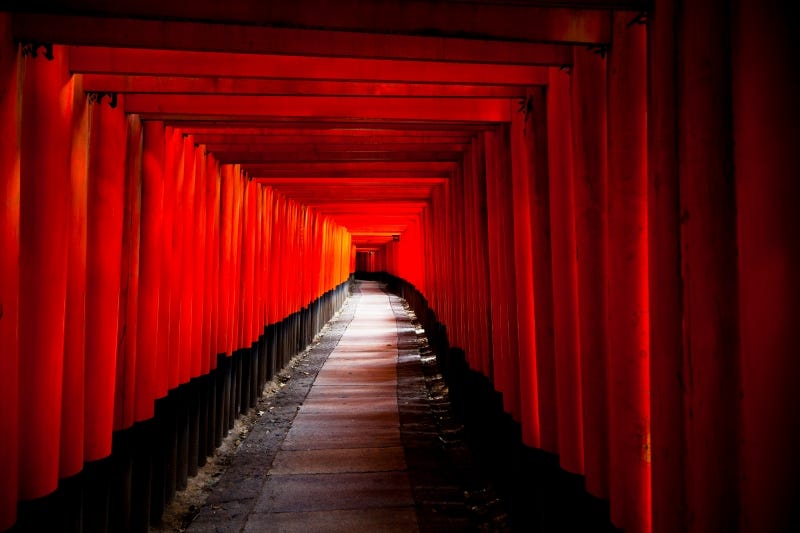 The endless series of torii at Fushimi Inari Shrine but without any other visitors during the pandemic