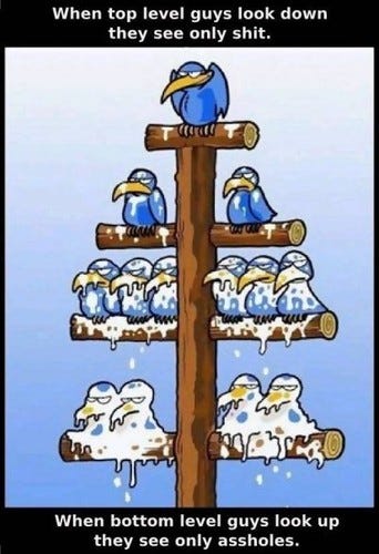 Funny comic of birds and employee innovation