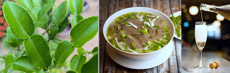 Emerald Edge: The Bold Legacy of the Makrut (Kaffir) Lime