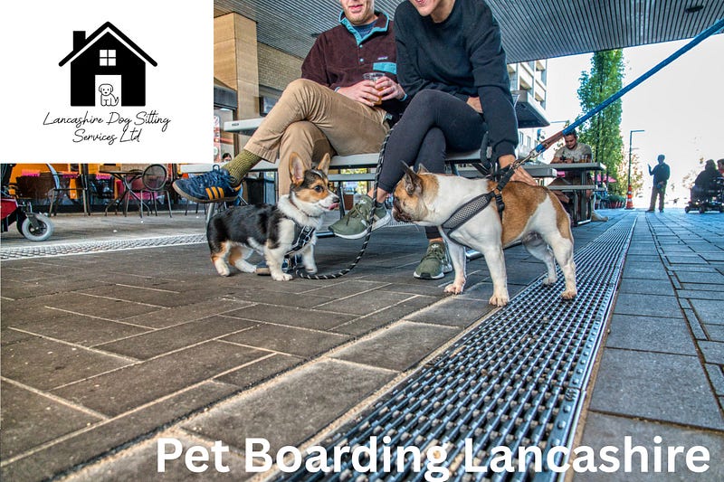 Pet Boarding Lancashire