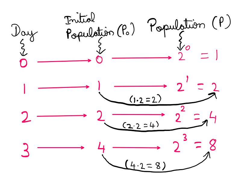 Why Do We Really Use Euler’s Number For Growth? — A growth chart that shows that the population doubles each day when the function considered is 2^x (from day 1 onwards).
