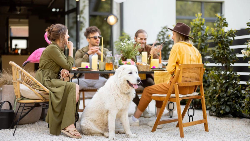 Dog to a Patio at a Restaurant