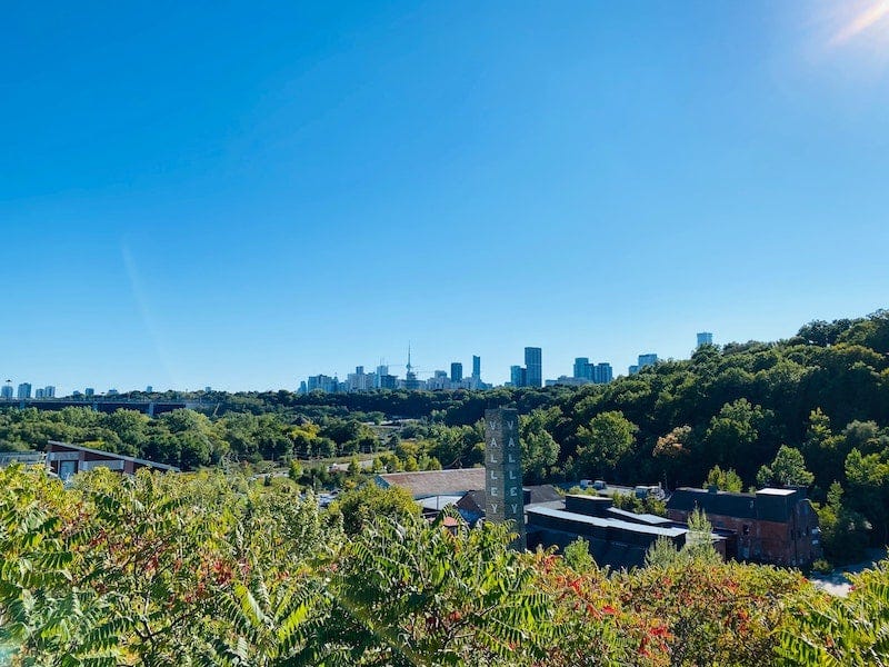 Toronto skyline as seen from a hiking trail