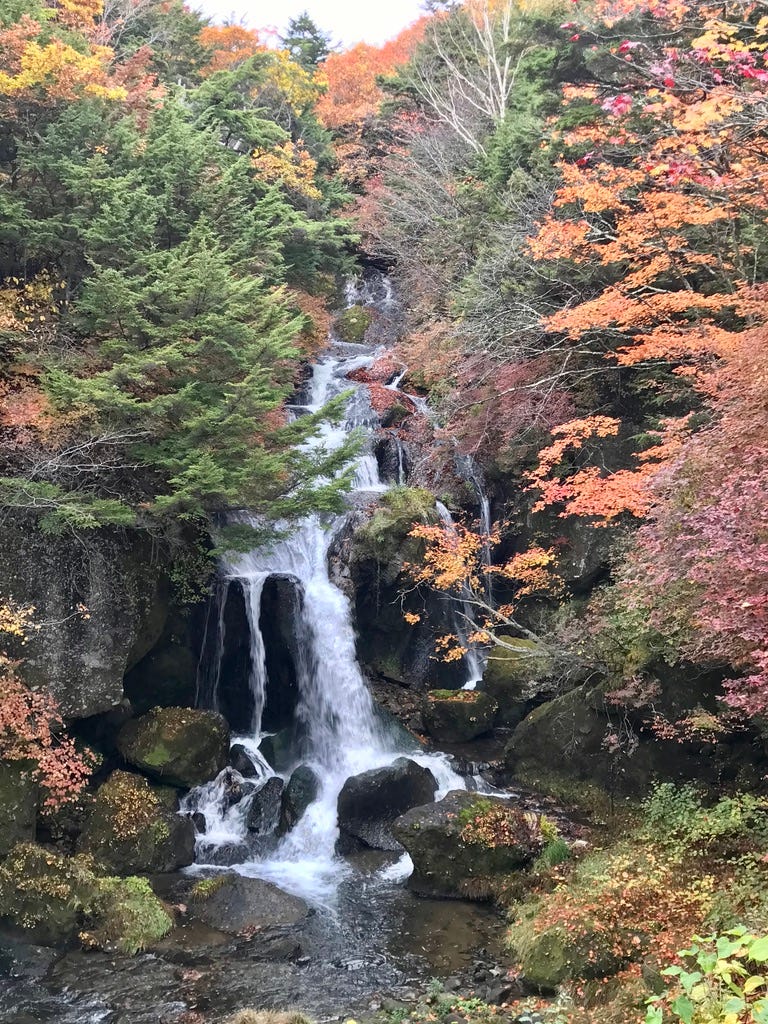 Waterfall gracefully fallen back and forth over stones down to a rocky stream. Surrounded by fall colors.