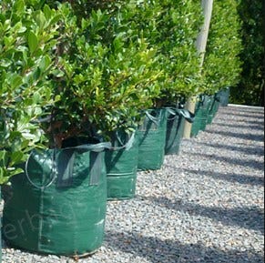 promo o8ii 263i 3o4 penjual planter bag di jogja planter promo o8ii 263i 3o4 penjual planter bag di jogja planter