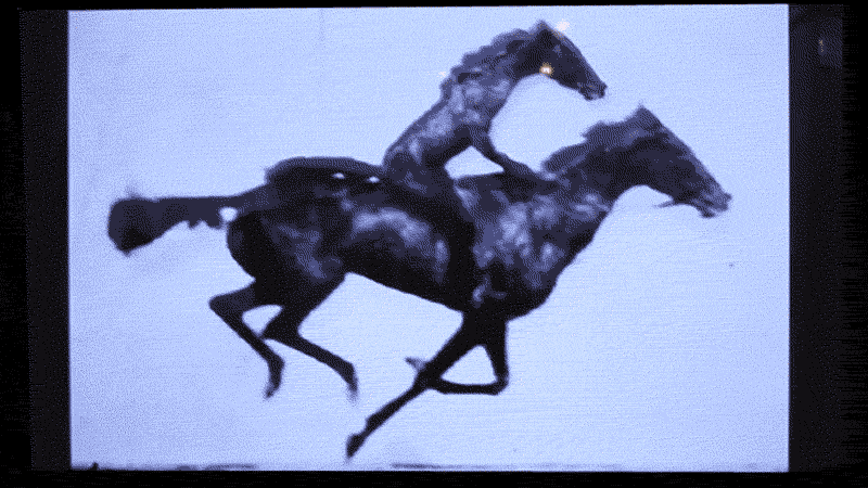Animação preto-e-branco de um cavalo calvagando outro cavalo.
